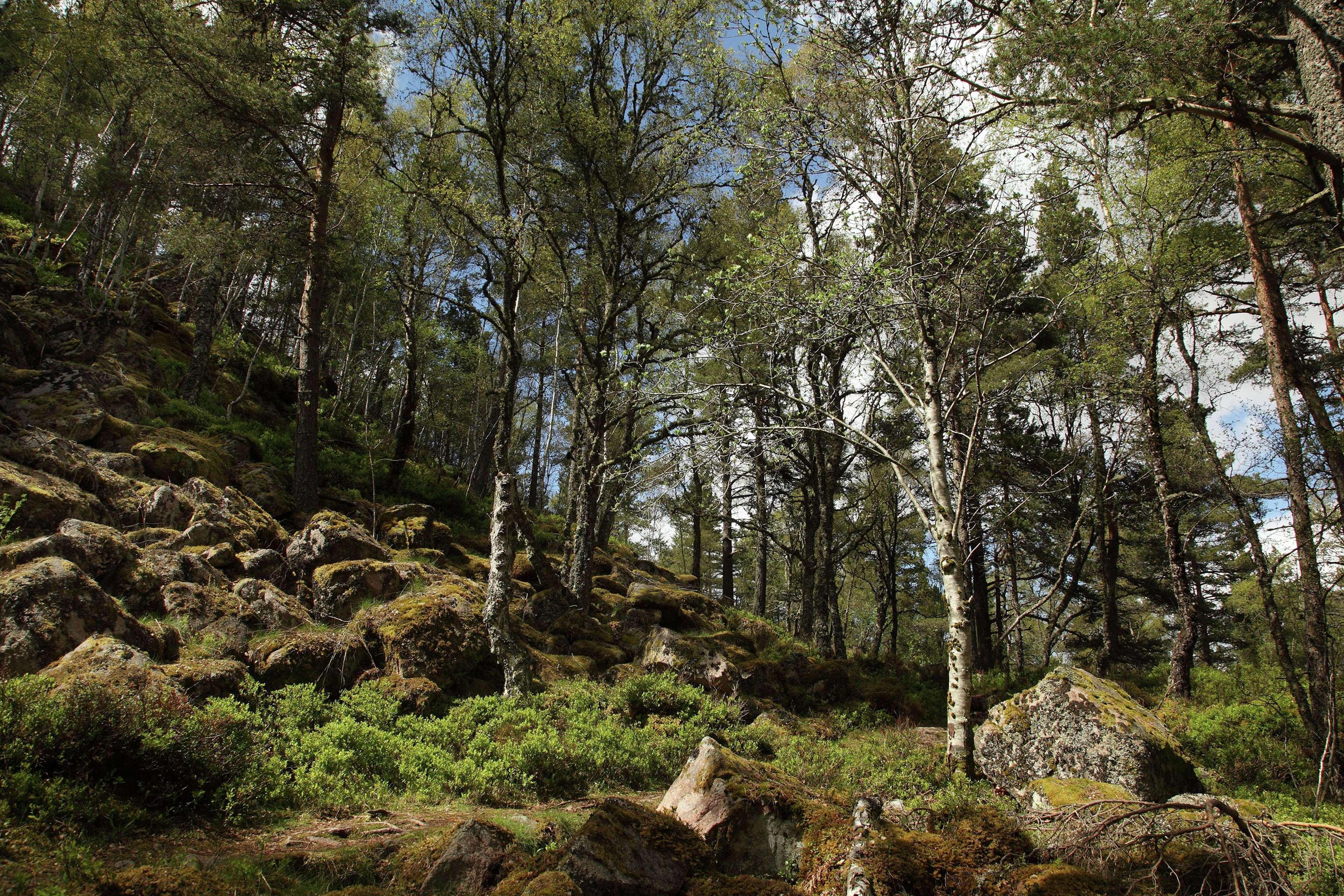 Hilton Grand Vacations Club Craigendarroch Suites Scotland Ballater Esterno foto